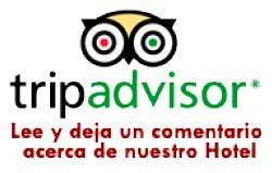 trip-advisor